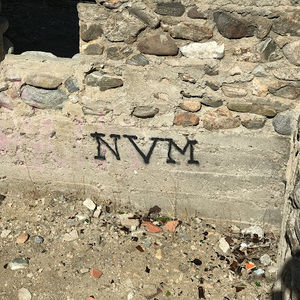 Meet your Posher, Brandizzle